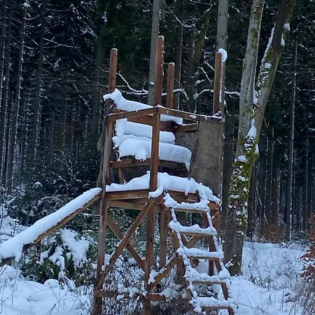 게스트하우스 Zum Waldfrieden 3*