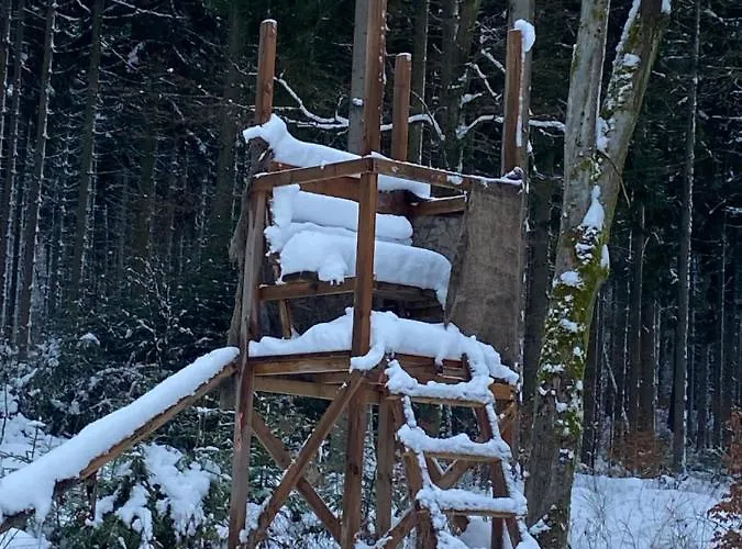 게스트하우스 Zum Waldfrieden 3*